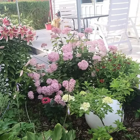 Sledzik 펜션 로비