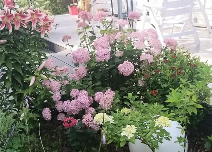 Sledzik Ferienhaus Rowy (Pomerania)